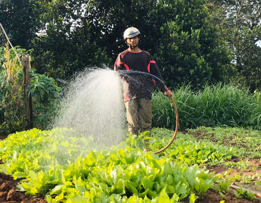 Các tổ tiết kiệm và vay vốn giúp người dân có thêm cơ hội đầu tư, nâng cao hiệu quả sản xuất. Ảnh: Trần Dung