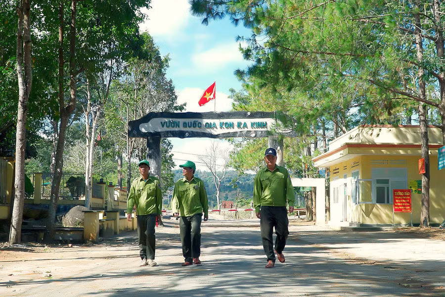 Vườn Quốc gia Kon Ka Kinh nằm ở phía Đông Bắc tỉnh Gia Lai, cách TP. Pleiku khoảng 50 km; phân bố trên phạm vi ranh giới hành chính của 5 xã: Đak Roong, Krong, Kon Pne (huyện Kbang), Hà Đông (huyện Đak Đoa) và Ayun (huyện Mang Yang). Ảnh: Đức Thụy Vườn Quốc gia Kon Ka Kinh nằm ở phía Đông Bắc tỉnh Gia Lai, cách TP. Pleiku khoảng 50 km; phân bố trên phạm vi ranh giới hành chính của 5 xã: Đak Roong, Krong, Kon Pne (huyện Kbang), Hà Đông (huyện Đak Đoa) và Ayun (huyện Mang Yang). Ảnh: Đức Thụy