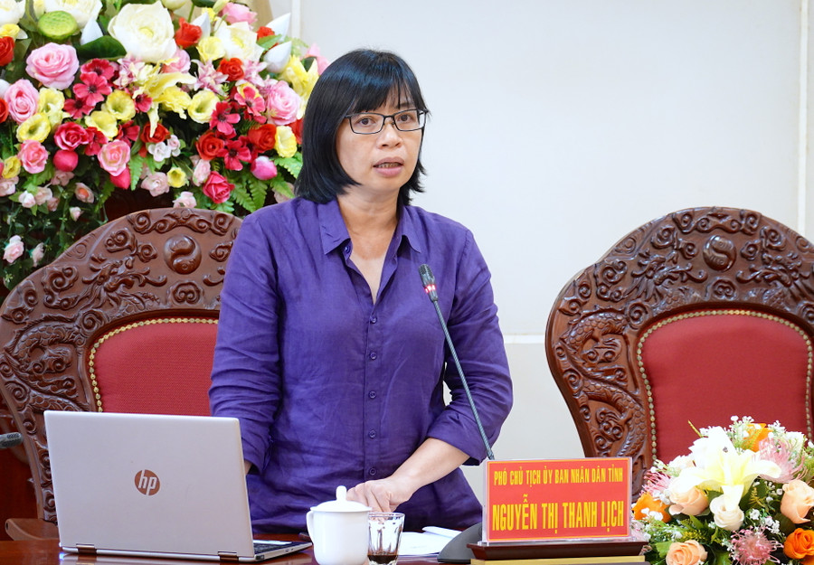 Phó Chủ tịch UBND tỉnh Nguyễn Thị Thanh Lịch phát biểu chỉ đạo tại cuộc họp. Ảnh: Mộc Trà