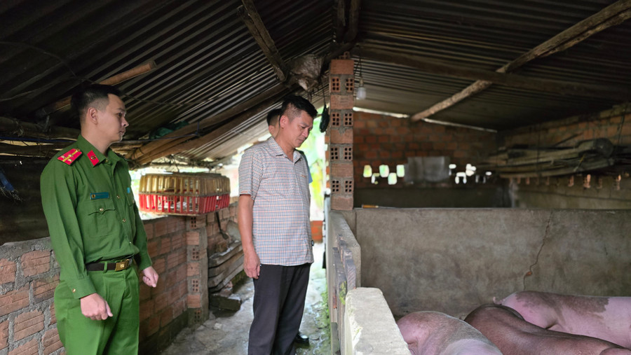 Kiểm soát hoạt động giết mổ heo tại cơ sở giết mổ trên địa bàn phường Yên Thế. Ảnh: B.B Kiểm soát hoạt động giết mổ heo tại cơ sở giết mổ trên địa bàn phường Yên Thế. Ảnh: B.B