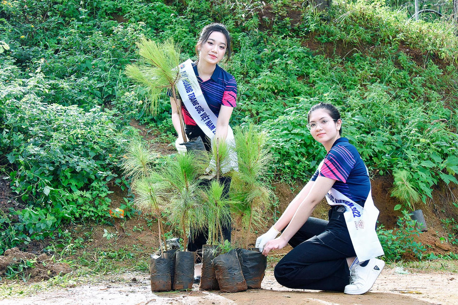 Nguyễn Hoàng Yến (đứng) tham gia hoạt động trồng cây xanh tại khuôn viên Khu du lịch Biển Hồ (TP. Pleiku) cùng các thí sinh trong khuôn khổ cuộc thi Nữ hoàng Trang sức Việt Nam năm 2022. Ảnh: Đức Thụy Nguyễn Hoàng Yến (đứng) tham gia hoạt động trồng cây xanh tại khuôn viên Khu du lịch Biển Hồ (TP. Pleiku) cùng các thí sinh trong khuôn khổ cuộc thi Nữ hoàng Trang sức Việt Nam năm 2022. Ảnh: Đức Thụy