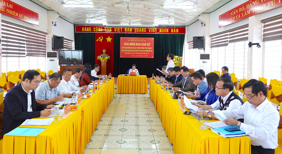 Quang cảnh buổi giám sát tại Sở GD-ĐT. Ảnh: Mộc Trà Quang cảnh buổi giám sát tại Sở GD-ĐT. Ảnh: Mộc Trà