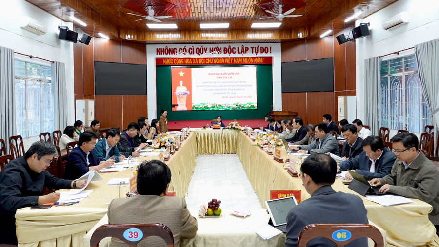 Quang cảnh buổi giám sát tại huyện Chư Sê. Ảnh: Mộc Trà Quang cảnh buổi giám sát tại huyện Chư Sê. Ảnh: Mộc Trà