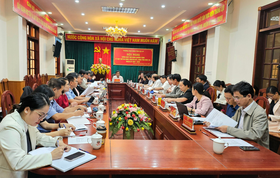 Tại phiên họp Thường trực HĐND tỉnh Gia Lai, các đại biểu đã thống nhất thời gian dự kiến tổ chức kỳ họp thứ 20 (chuyên đề) HĐND tỉnh khóa XII vào ngày 30-7. Ảnh: Mộc Trà