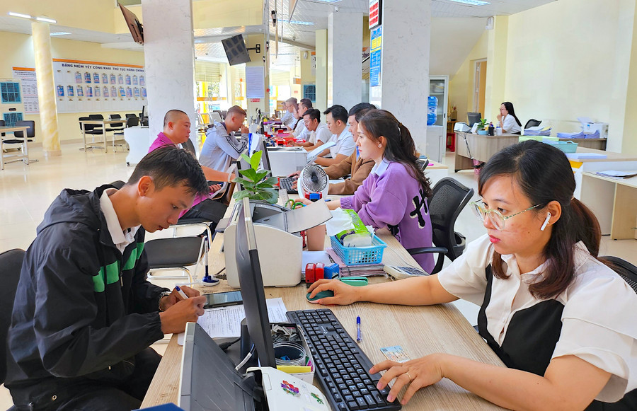 Triển khai Chiến dịch, UBND tỉnh Gia Lai đã giao chỉ tiêu cụ thể cho từng cơ quan, đơn vị, địa phương theo tiến độ 50 ngày, 100 ngày và thời gian thực hiện tiếp theo. Ảnh: Mộc Trà
