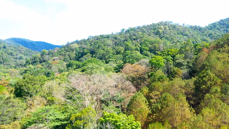 Vườn Quốc gia Kon Ka Kinh có nhiều dãy núi có độ cao trung bình 1.200-1.500 mét, với địa hình thấp dần từ Bắc xuống Nam; trong đó, đỉnh núi cao nhất ở đây là 1.748 mét so với mặt nước biển và cũng chính là đỉnh núi cao nhất trên cao nguyên Pleiku. Ảnh: Đức Thụy Vườn Quốc gia Kon Ka Kinh có nhiều dãy núi có độ cao trung bình 1.200-1.500 mét, với địa hình thấp dần từ Bắc xuống Nam; trong đó, đỉnh núi cao nhất ở đây là 1.748 mét so với mặt nước biển và cũng chính là đỉnh núi cao nhất trên cao nguyên Pleiku. Ảnh: Đức Thụy