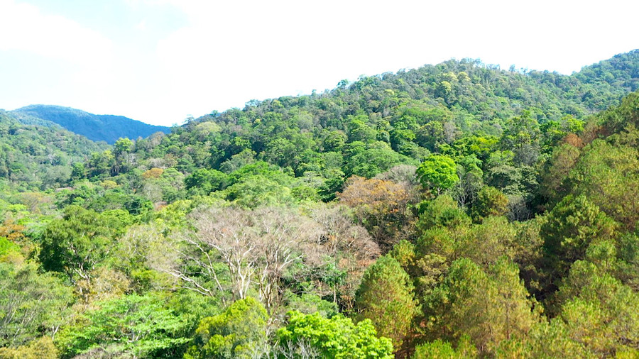 Vườn Quốc gia Kon Ka Kinh có nhiều dãy núi có độ cao trung bình 1.200-1.500 mét, với địa hình thấp dần từ Bắc xuống Nam; trong đó, đỉnh núi cao nhất ở đây là 1.748 mét so với mặt nước biển và cũng chính là đỉnh núi cao nhất trên cao nguyên Pleiku. Ảnh: Đức Thụy