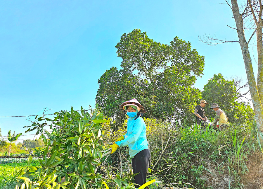 Được biết, làng Ơp hiện có 221 hộ dân với 658 khẩu; trong đó, dân tộc Jrai chiếm trên 65%. Tổng diện tích tự nhiên của làng là 75 ha. Những năm qua, nhờ thay đổi phương thức sản xuất truyền thống sang áp dụng các tiến bộ khoa học kỹ thuật; đồng thời, tích cực chuyển đổi cây trồng và vật nuôi có hiệu quả kinh tế cao, đời sống người dân làng Ơp đã không ngừng được nâng lên, góp phần vào công cuộc phát triển kinh tế-xã hội của TP. Pleiku.