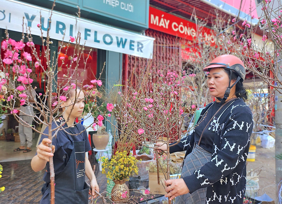 Bà Đỗ Thị Hải Lan (bìa phải; tổ 5, phường Ia Kring, TP. Pleiku) chọn mua đào mini để chưng trên bàn thờ gia tiên ngày Tết. Ảnh: Mộc Trà Bà Đỗ Thị Hải Lan (bìa phải; tổ 5, phường Ia Kring, TP. Pleiku) chọn mua đào mini để chưng trên bàn thờ gia tiên ngày Tết. Ảnh: Mộc Trà