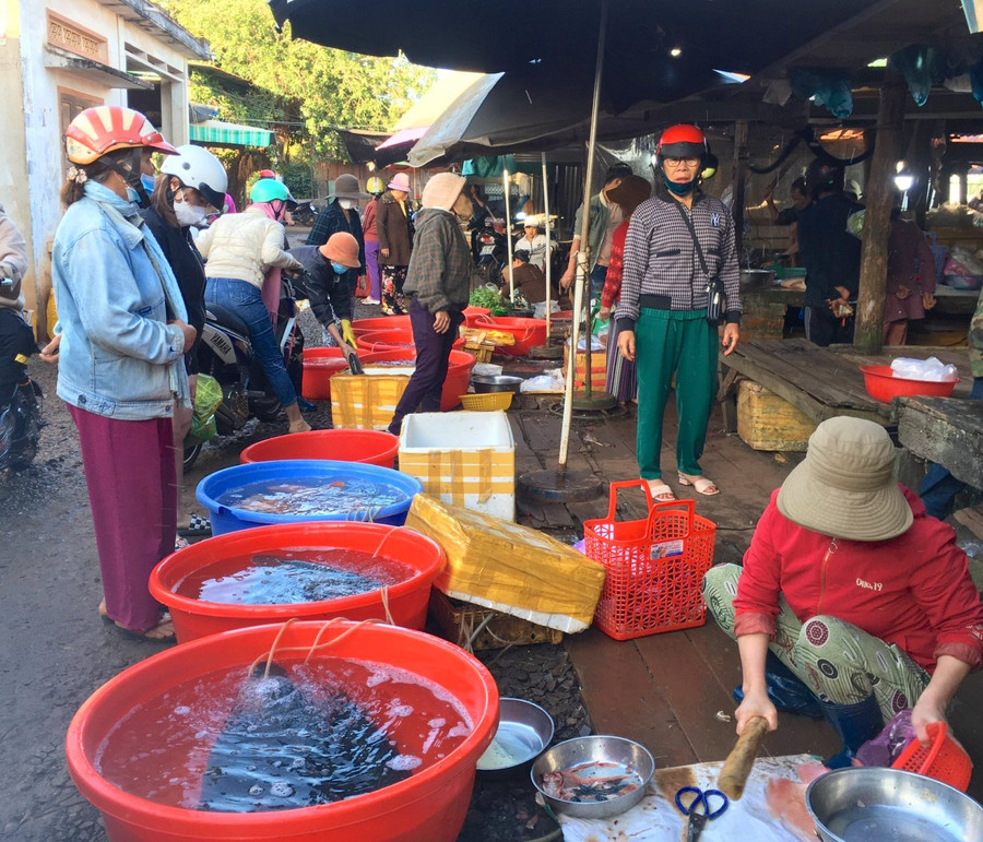 Cá lóc là mặt hàng được nhiều người chọn mua trong phiên chợ đầu năm. Ảnh: Quang Tấn Cá lóc là mặt hàng được nhiều người chọn mua trong phiên chợ đầu năm. Ảnh: Quang Tấn
