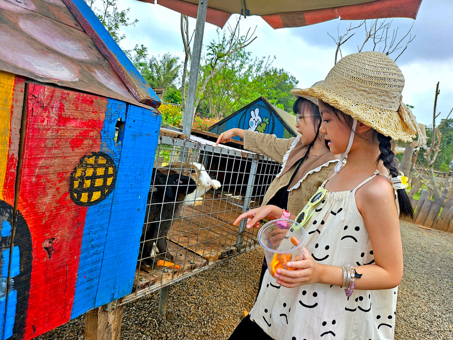 Những du khách "nhí" hào hứng cho thỏ ăn. Ảnh: Mộc Trà
