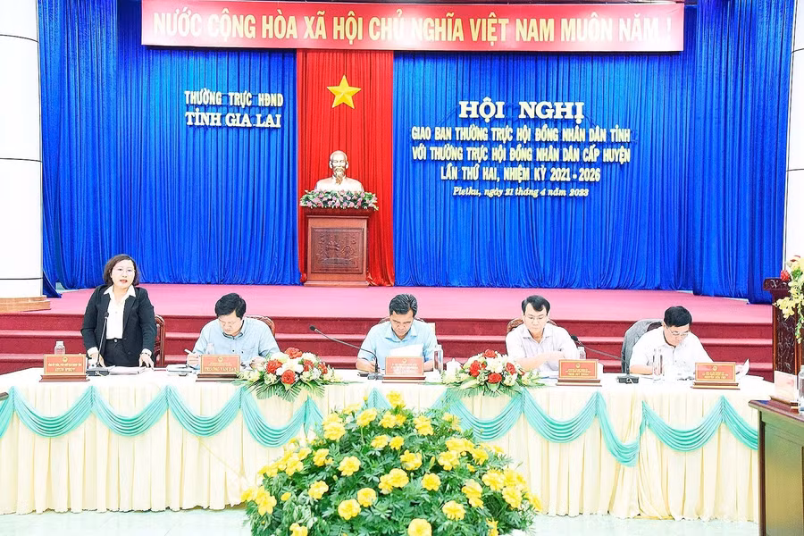 Các ông, bà trong Thường trực HĐND tỉnh, Chủ tịch HĐND TP. Pleiku và huyện Đak Đoa chủ trì hội nghị. Ảnh Đức Thụy