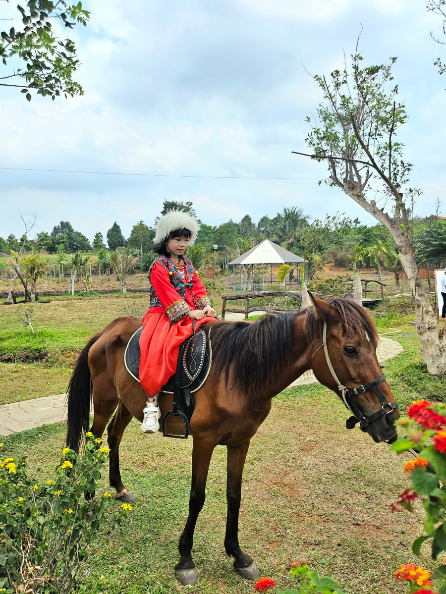 Không chỉ người lớn, trẻ em cũng rất thích thú khi được trải nghiệm trên lưng ngựa. Ảnh: Mộc Trà