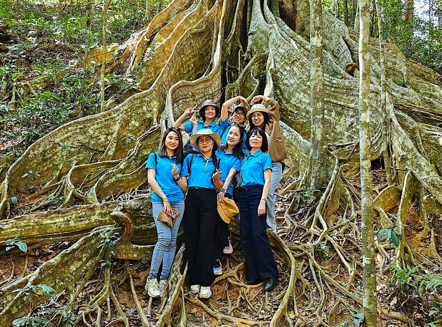 Trên hành trình khám phá, chúng tôi đặc biệt ấn tượng với quần thể cây đa cổ thụ ngàn năm tuổi có tán xòe rộng cùng bộ rễ khổng lồ lộ thiên trông như những bức tường chắn uốn lượn trên mặt đất. Ảnh: Mộc Trà