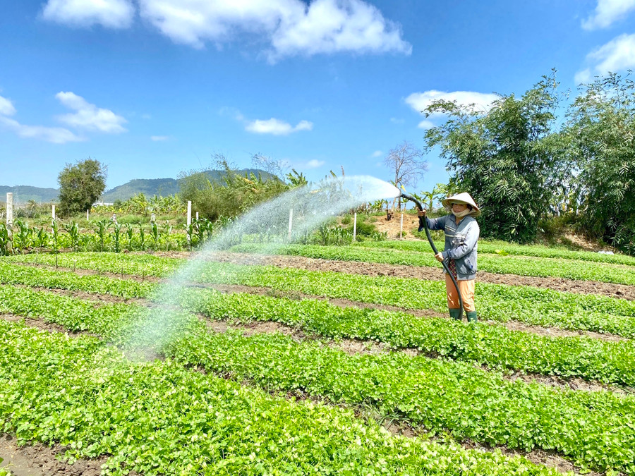Việc theo dõi dự báo, cảnh báo thời tiết đóng vai trò quan trọng trong việc xây dựng kế hoạch sản xuất nông nghiệp trên địa bàn tỉnh. Ảnh: Mộc Trà Việc theo dõi dự báo, cảnh báo thời tiết đóng vai trò quan trọng trong việc xây dựng kế hoạch sản xuất nông nghiệp trên địa bàn tỉnh. Ảnh: Mộc Trà