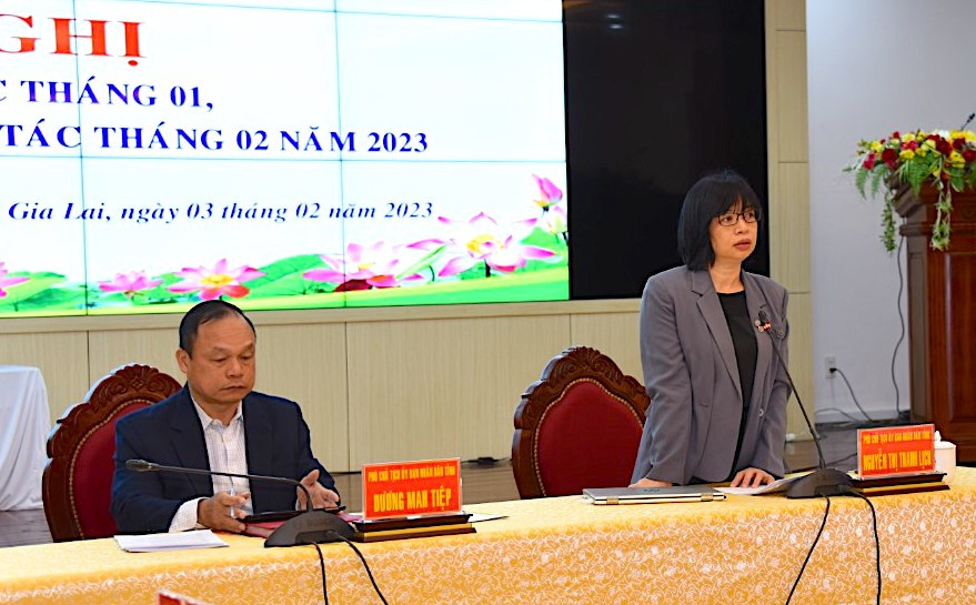 Phó Chủ tịch UBND tỉnh Nguyễn Thị Thanh Lịch phát biểu khai mạc hội nghị. Ảnh: Đức Thụy Phó Chủ tịch UBND tỉnh Nguyễn Thị Thanh Lịch phát biểu khai mạc hội nghị. Ảnh: Đức Thụy