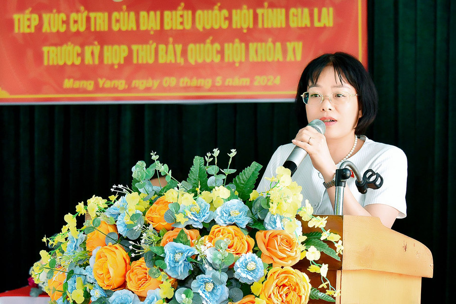 Bà Nguyễn Thị Mai Phương-Phó Chủ nhiệm Ủy ban Pháp luật của Quốc hội phát biểu tại hội nghị. Ảnh: Đ.T