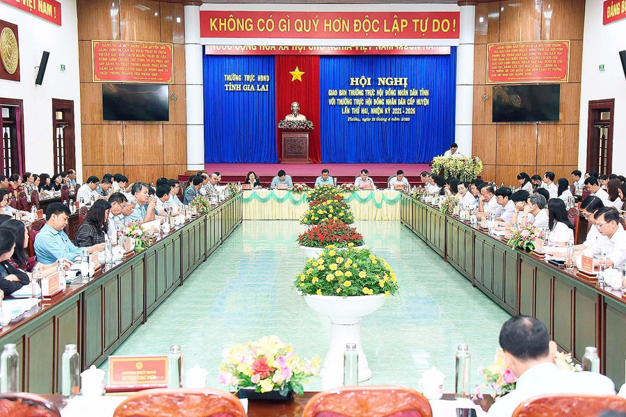 Quang cảnh hội nghị. Ảnh: Đức Thụy