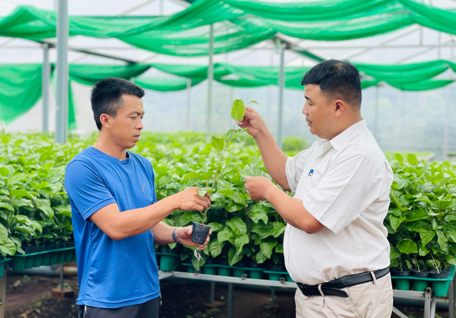 Các nhiệm vụ cần tập trung vào giải pháp dựa trên nền tảng KH-CN và đổi mới sáng tạo. Ảnh: Mai Ka