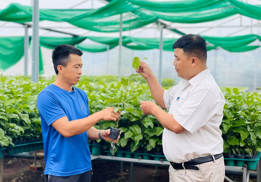 Các nhiệm vụ cần tập trung vào giải pháp dựa trên nền tảng KH-CN và đổi mới sáng tạo. Ảnh: Mai Ka