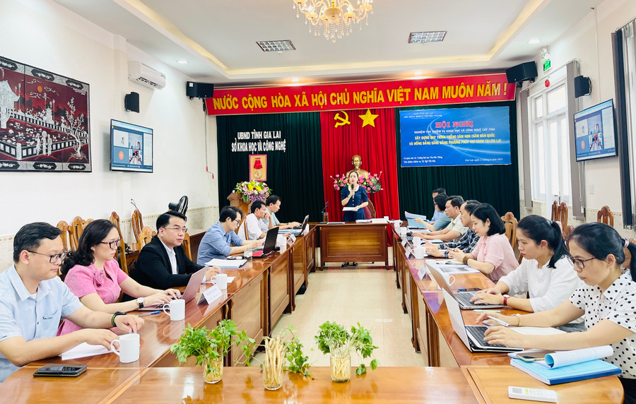 Hội đồng Khoa học và Công nghệ chuyên ngành tỉnh Gia Lai nghiệm thu đề tài “Xây dựng quy trình trồng sâm non (sâm Hàn Quốc và Hồng đẳng sâm) bằng phương pháp khí canh tại Gia Lai”. Ảnh: Mai Ka Hội đồng Khoa học và Công nghệ chuyên ngành tỉnh Gia Lai nghiệm thu đề tài “Xây dựng quy trình trồng sâm non (sâm Hàn Quốc và Hồng đẳng sâm) bằng phương pháp khí canh tại Gia Lai”. Ảnh: Mai Ka