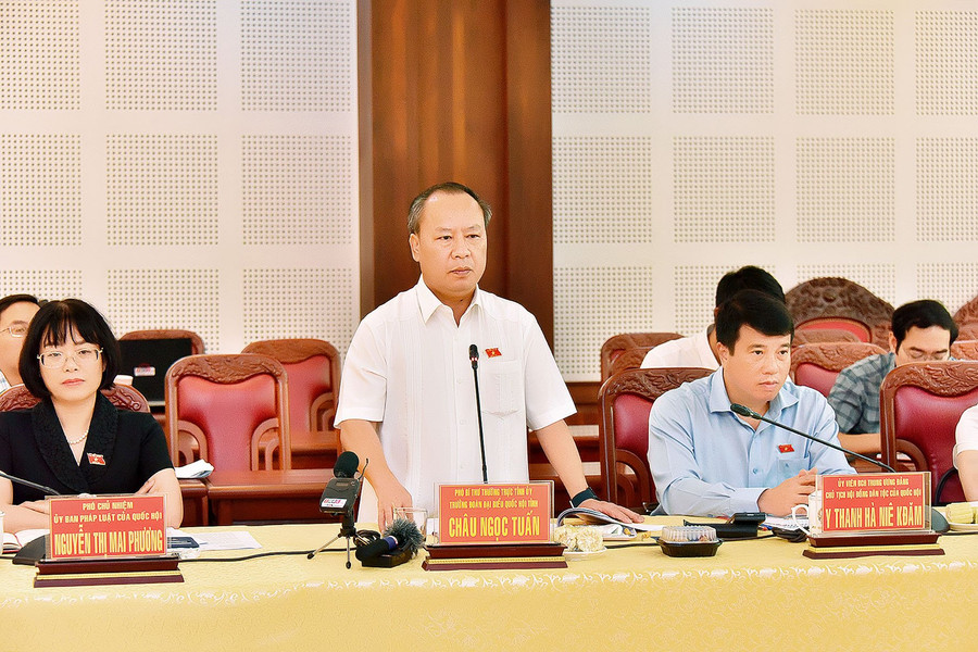 Phó Bí thư Thường trực Tỉnh ủy, Trưởng Đoàn đại biểu Quốc hội tỉnh Châu Ngọc Tuấn phát biểu tại buổi làm việc. Ảnh: Đức Thuỵ