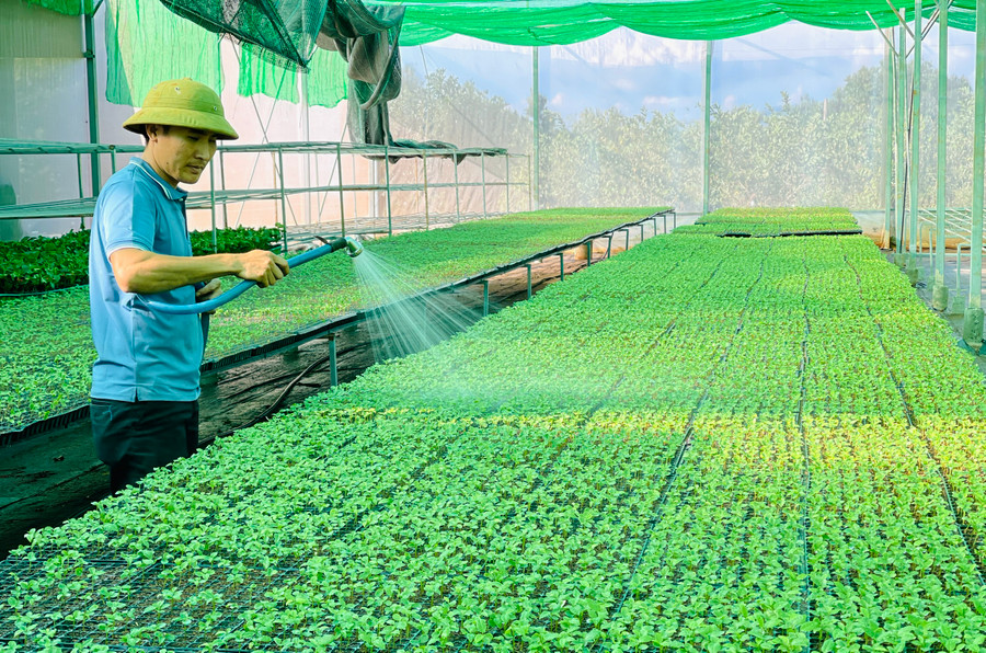 Đề xuất nhiệm vụ KH-CN cấp quốc gia thuộc Chương trình quốc gia phát triển công nghệ cao đến năm 2030. Ảnh: Mai Ka