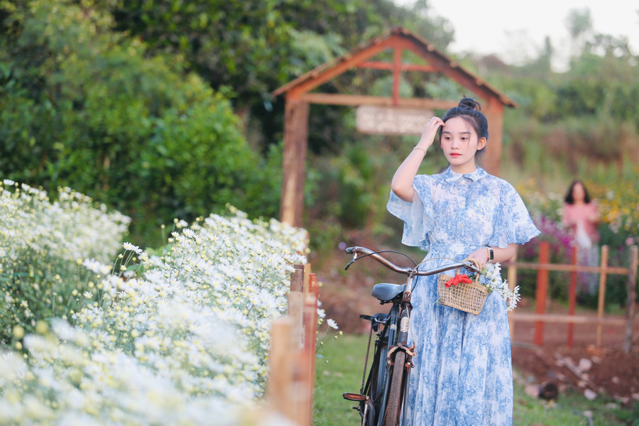 Nhiều du khách bất ngờ bởi lần đầu tiên thấy cúc họa mi nở trên cao nguyên. Tận hưởng khoảng thời gian sau Tết, nhiều người đã cùng bạn bè đến đây để hòa mình vào thiên nhiên và chụp ảnh với hoa cúc hoạ mi. Nhiều du khách bất ngờ bởi lần đầu tiên thấy cúc họa mi nở trên cao nguyên. Tận hưởng khoảng thời gian sau Tết, nhiều người đã cùng bạn bè đến đây để hòa mình vào thiên nhiên và chụp ảnh với hoa cúc hoạ mi.