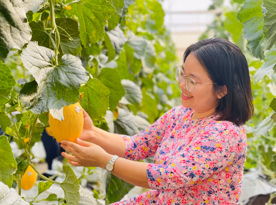 Sở KH-CN hướng đến mục tiêu xây dựng Khu thực nghiệm Ứng dụng KH-CN thành điểm du lịch trải nghiệm. Ảnh: Mai Ka