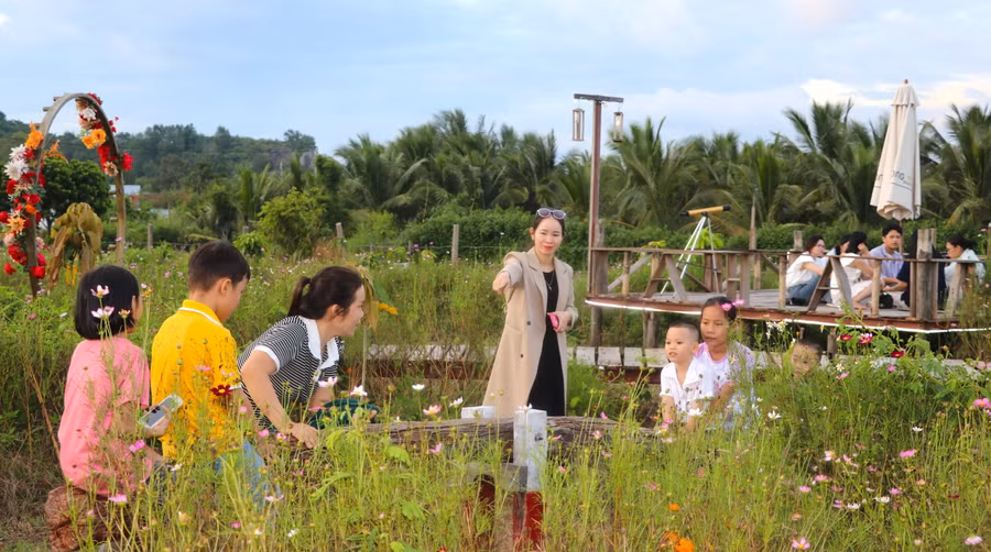 Nhiều gia đình ở các huyện, thị xã phía Đông tỉnh Gia Lai tổ chức tham quan, vui chơi tại điểm du lịch sinh thái trong dịp lễ Quốc khánh 2-9. Ảnh: Ngọc Minh