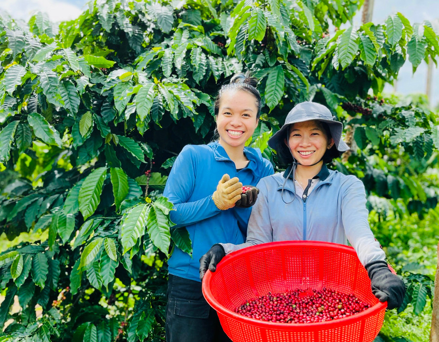 Du khách thích thú với mô hình du lịch trải nghiệm nông nghiệp tại TP. Pleiku. Ảnh: Mai Ka