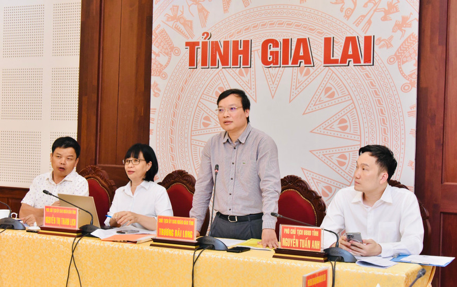 Phó Bí thư Tỉnh ủy, Chủ tịch UBND tỉnh Trương Hải Long phát biểu chỉ đạo tại hội nghị. Ảnh: Đức Thụy