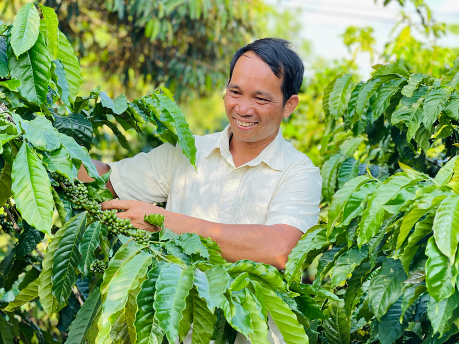 Trưởng thôn Rơ Châm Ó đi đầu trong phát triển kinh tế ở làng Bồ. Ảnh: Mai Ka Trưởng thôn Rơ Châm Ó đi đầu trong phát triển kinh tế ở làng Bồ. Ảnh: Mai Ka
