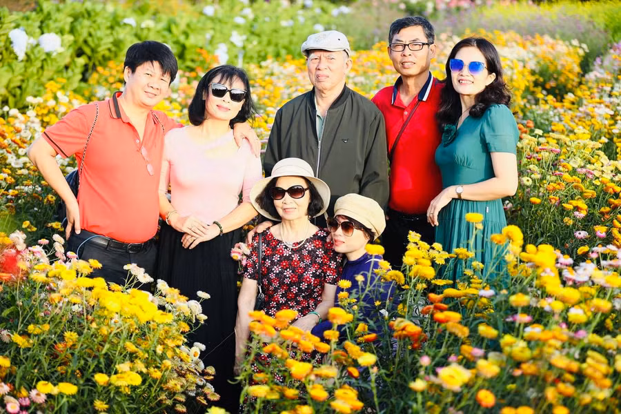 Sau 3 tháng cần mẫn chăm sóc, vườn cúc bất tử đã bắt đầu hé nụ vào những ngày đầu năm mới. Loài hoa rực rỡ sắc màu vươn mình trong tiết trời trong xanh của phố núi đã thu hút hàng trăm người dân địa phương và đông đảo du khách thập phương đến tham quan mỗi ngày.