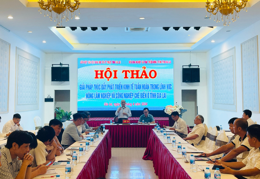 Quang cảnh hội thảo. Ảnh: Mai Ka Quang cảnh hội thảo. Ảnh: Mai Ka