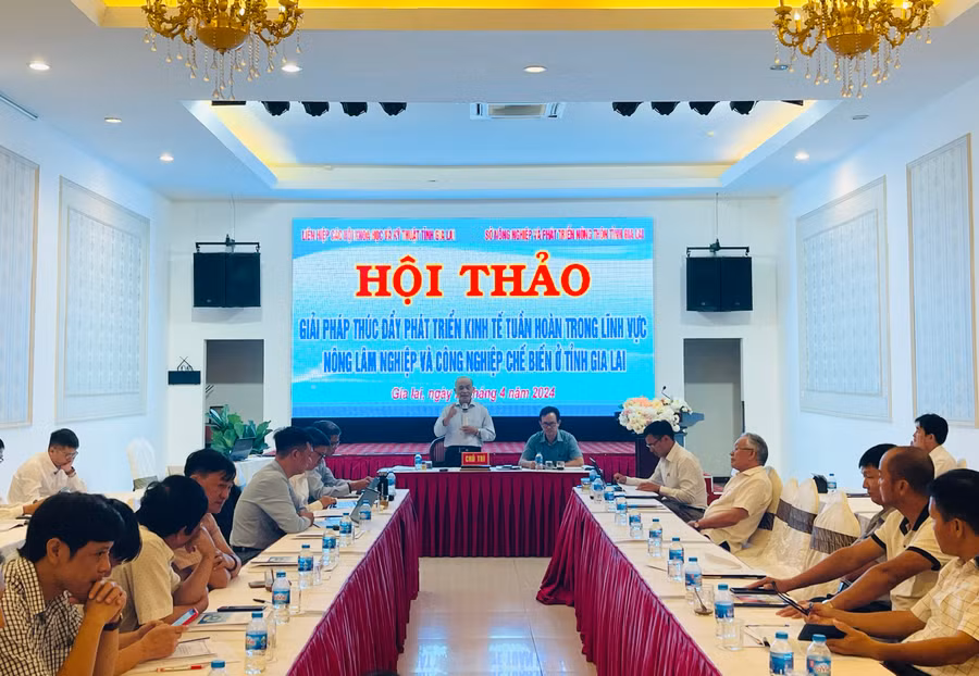 Quang cảnh hội thảo. Ảnh: Mai Ka