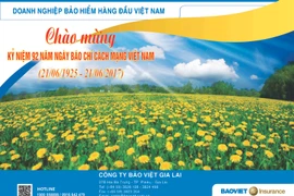 Công ty Bảo Việt Gia Lai