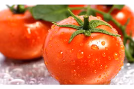 10 loại thực phẩm giải độc gan cực kỳ hiệu quả cho mùa hè