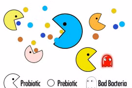 Những điều mẹ chưa biết về hệ tiêu hóa của bé