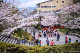 Kiyomizu Dera - chùa cổ nổi tiếng nhất Kyoto