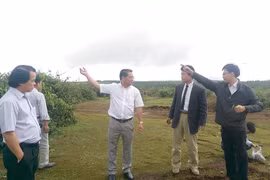 Công ty Hagihara Farm: Khảo sát đất trồng dưa dấu, dưa lưới tại Gia Lai