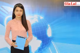 Gia Lai 48h: Lao đao vì giá heo giảm mạnh