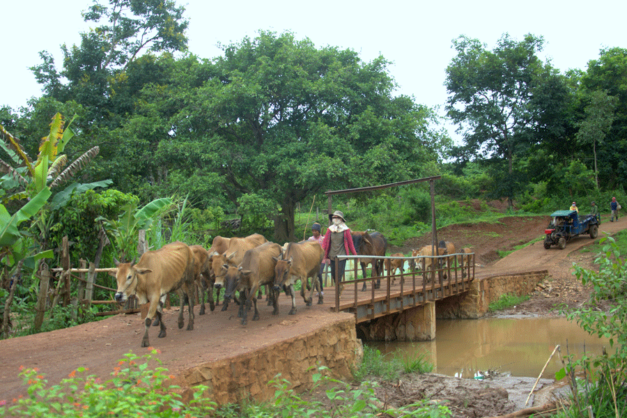 Cây cầu của lòng dân