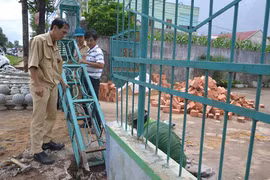 Phường Yên Thế nỗ lực lập lại trật tự đô thị