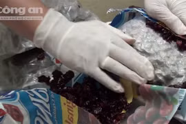 Gần 12 kg cần sa đi đường hàng không từ Mỹ về Việt Nam