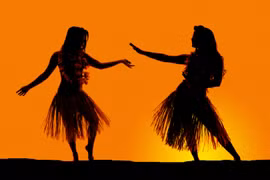 Nếu bị mắc kẹt trên đảo, bạn hãy làm những điều này