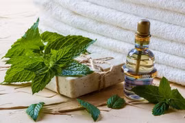 Phái đẹp nên cẩn trọng khi dùng mỹ phẩm chứa bạc hà