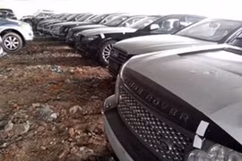 Mạo danh Bộ Tài chính bán đấu giá 181 ô tô trị giá 128 tỷ đồng