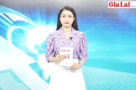Gia Lai 48h: Bộ Chính trị duyệt nội dung văn kiện Đại hội đại biểu Đảng bộ tỉnh Gia Lai lần thứ XVI