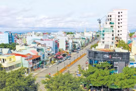 Để Pleiku thực sự là thành phố "cao nguyên xanh vì sức khỏe"